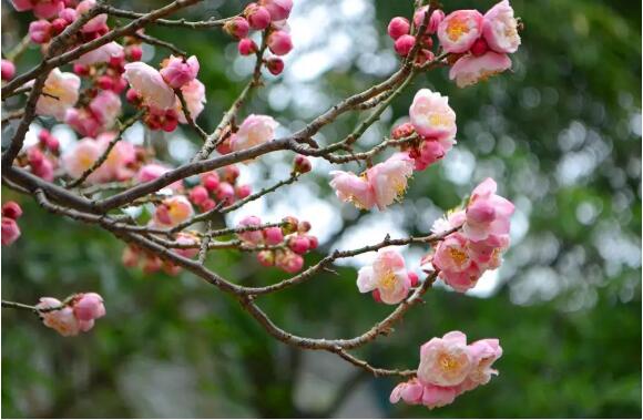 QQ截圖20201116163416.jpg QQ截圖20201116163416.jpg