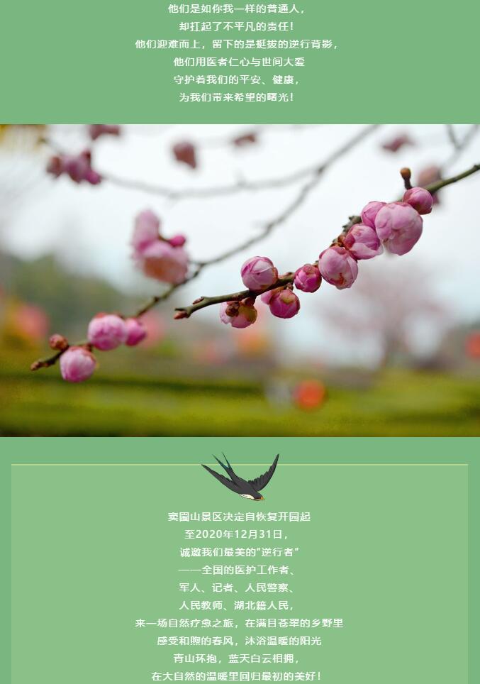 QQ截圖20201116163310.jpg QQ截圖20201116163310.jpg