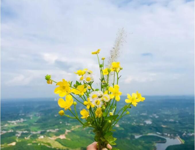 QQ截圖20201116163427.jpg QQ截圖20201116163427.jpg