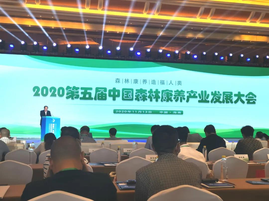 喜報！江油竇圌山景區(qū)榮獲“全國森林康養(yǎng)基地試點建設(shè)單位”稱號！